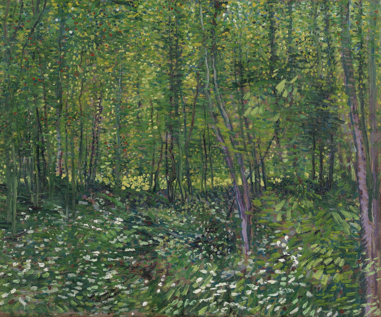 Puut ja aluspuu, 1887 tekijältä Vincent van Gogh