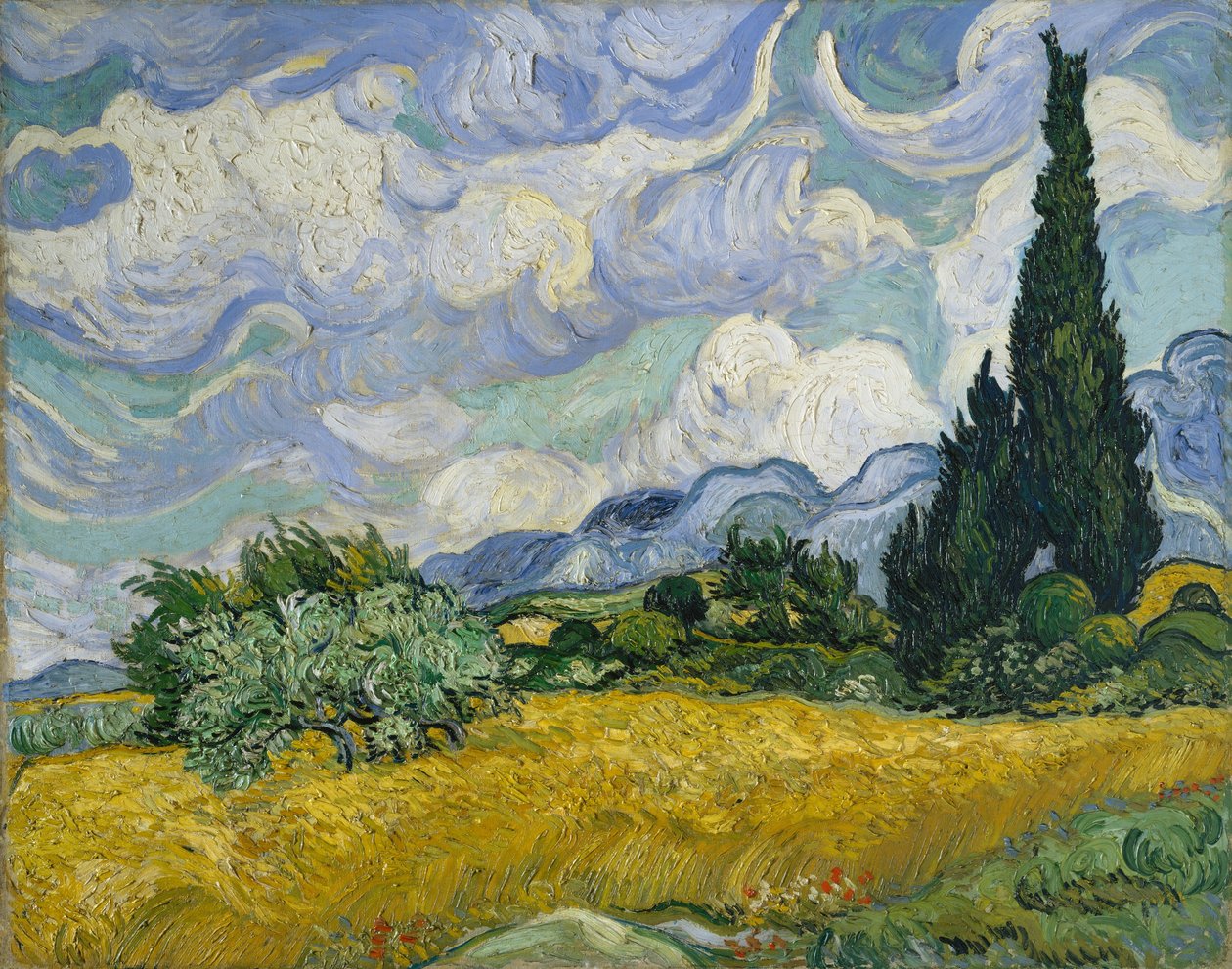 Vehnäpelto sypresseillä, 1889. tekijältä Vincent van Gogh