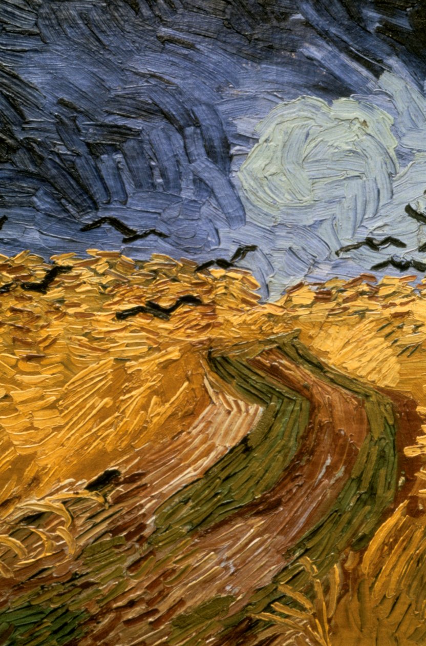 Vehnäpelto varisten kanssa, yksityiskohta 1890. tekijältä Vincent van Gogh