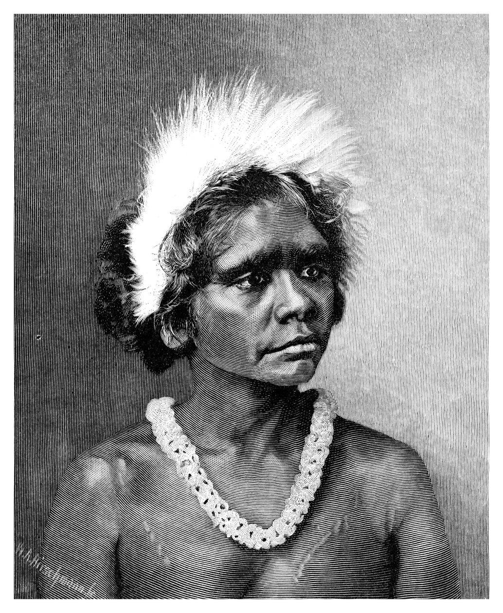Aboriginaalinainen, 1886. tekijältä WA Hirschmann