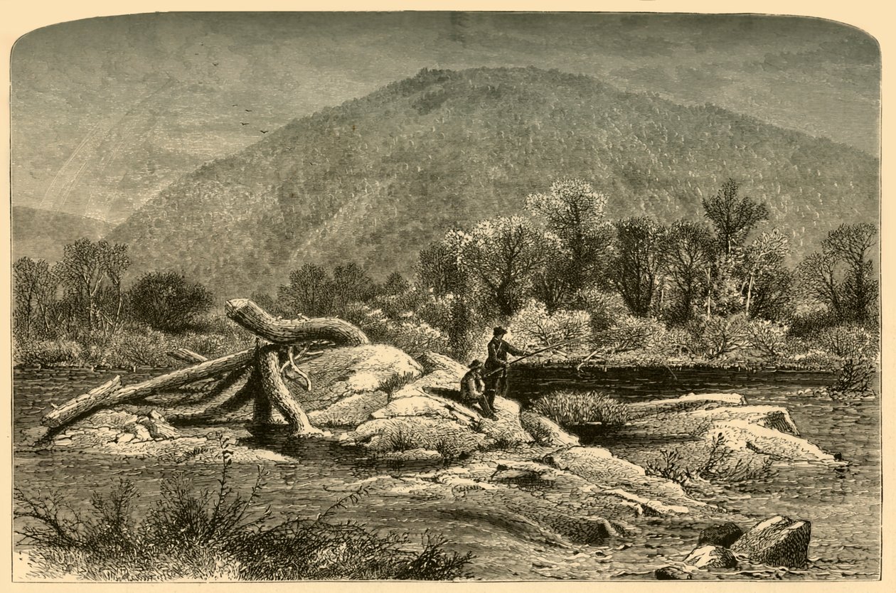 "Mount Chesterfield", 1874. tekijältä W.H. Morse