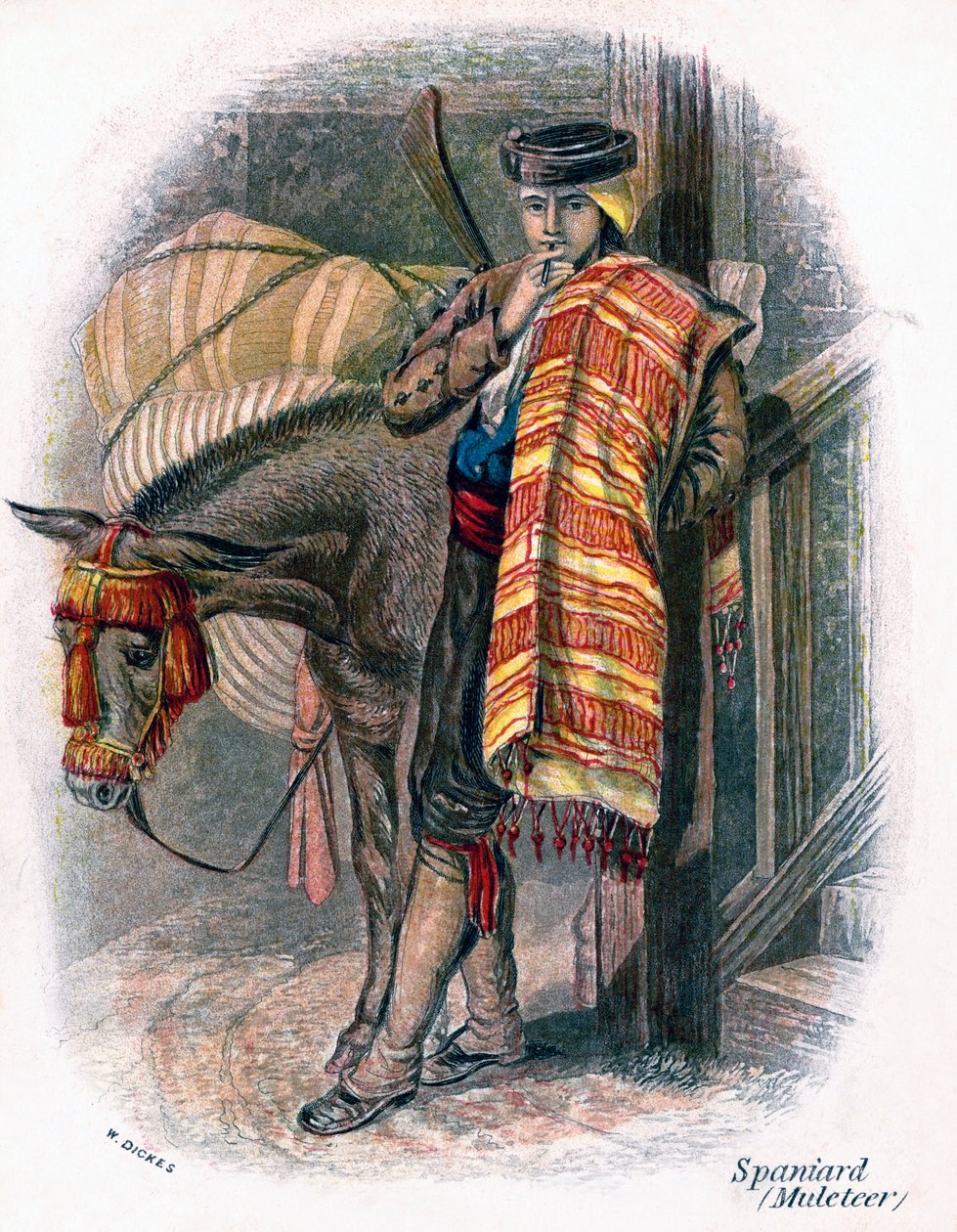 Espanjalainen mulettaja, 1809. tekijältä W. Dickes
