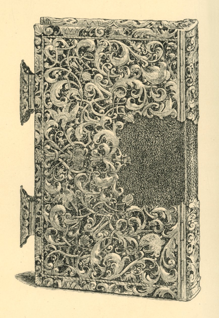 Hopeakullattu kirjan kansi, 1881. tekijältä W Jones