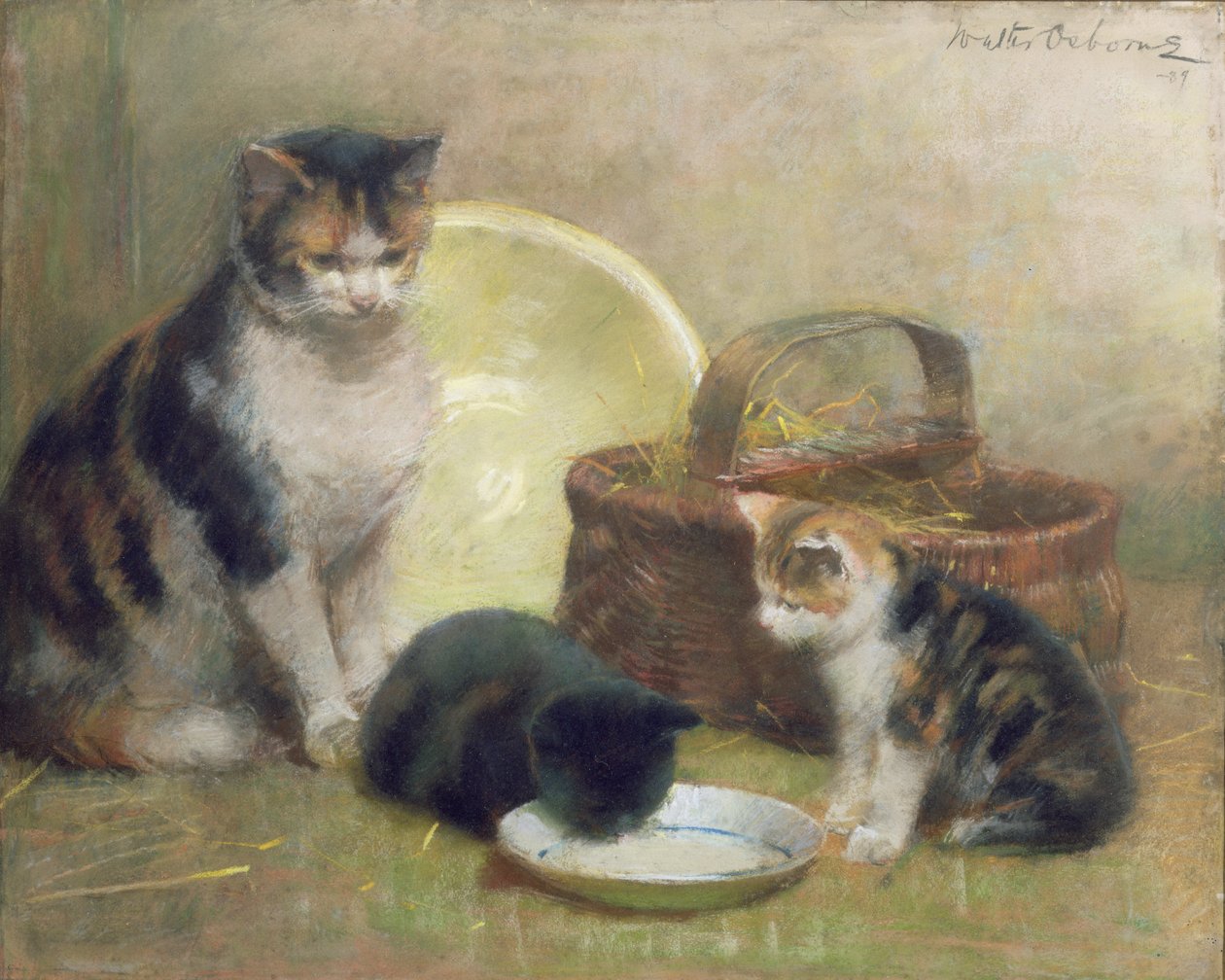 Kissa ja kissanpennut, 1889 (pastelli) tekijältä Walter Frederick Osborne