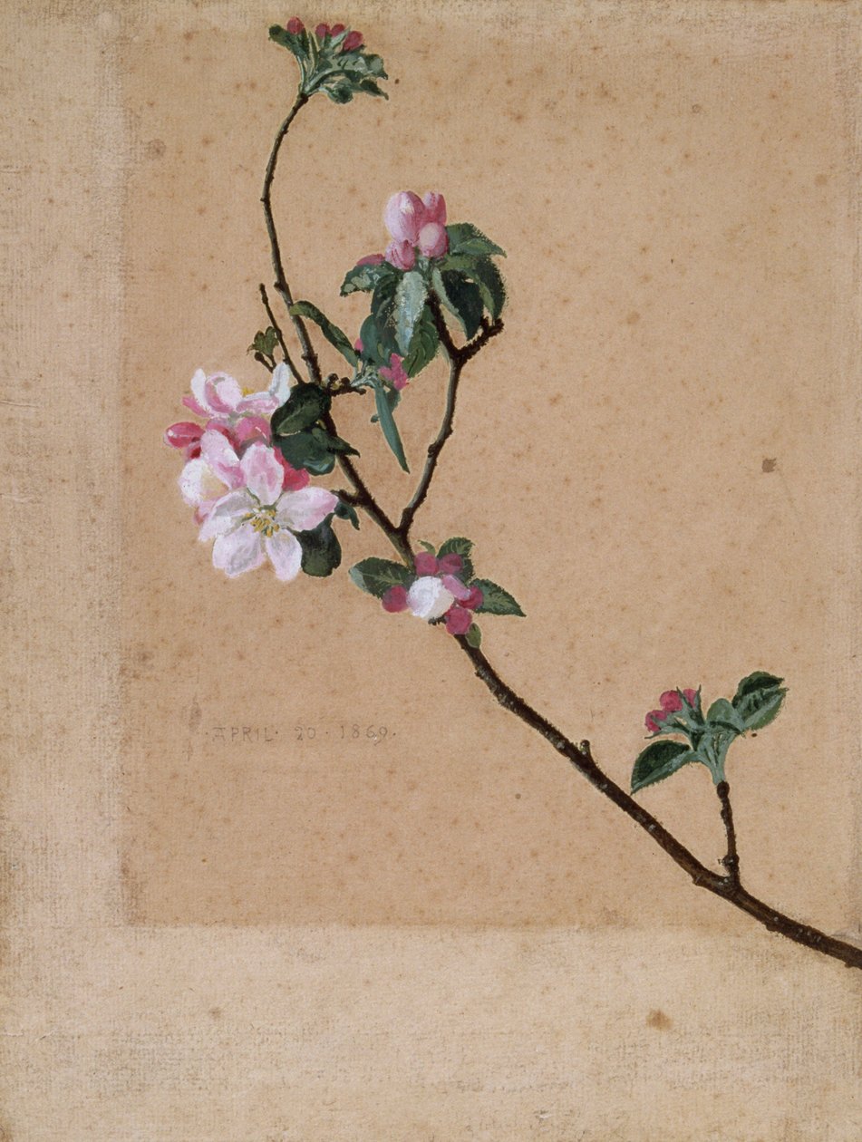 "Apple Blossom", 1869 tekijältä Walter Crane