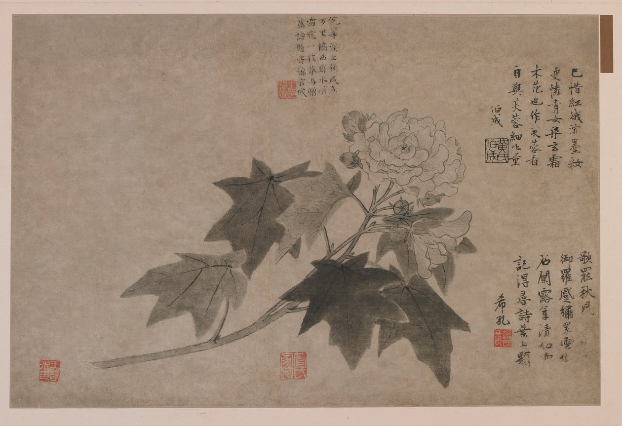 Hibiscus, 1347. tekijältä Wang Yuan