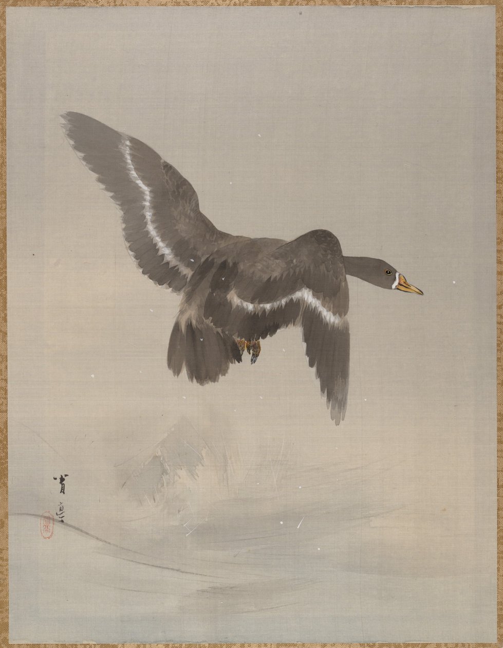 Lentävä hanhi, n. 1887. tekijältä Watanabe Seitei