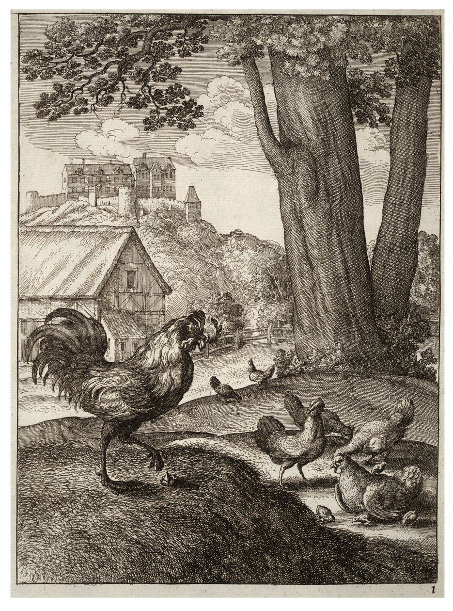 Kukko ja jalokivi tekijältä Wenceslaus Hollar