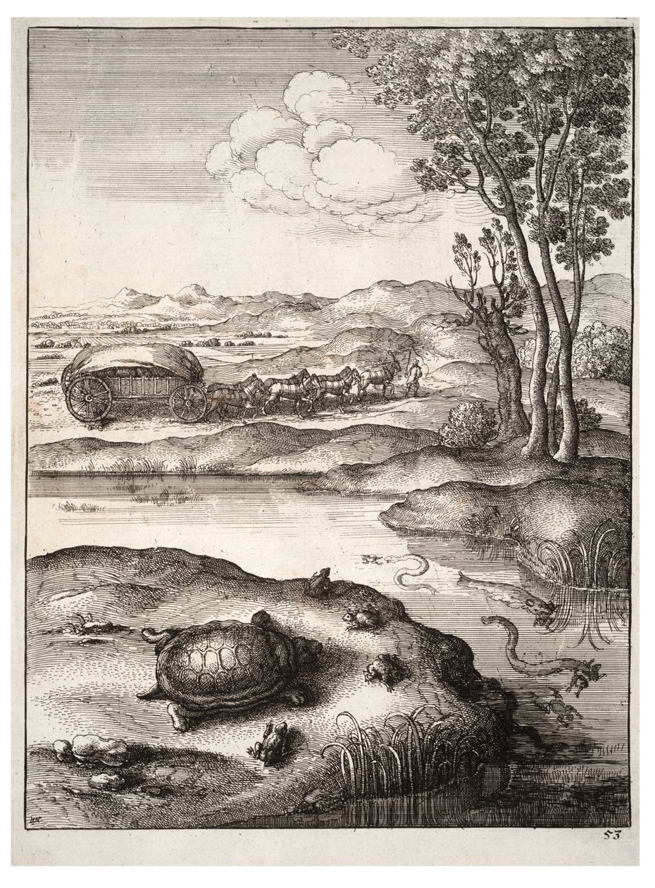 Kilpikonna ja sammakot tekijältä Wenceslaus Hollar
