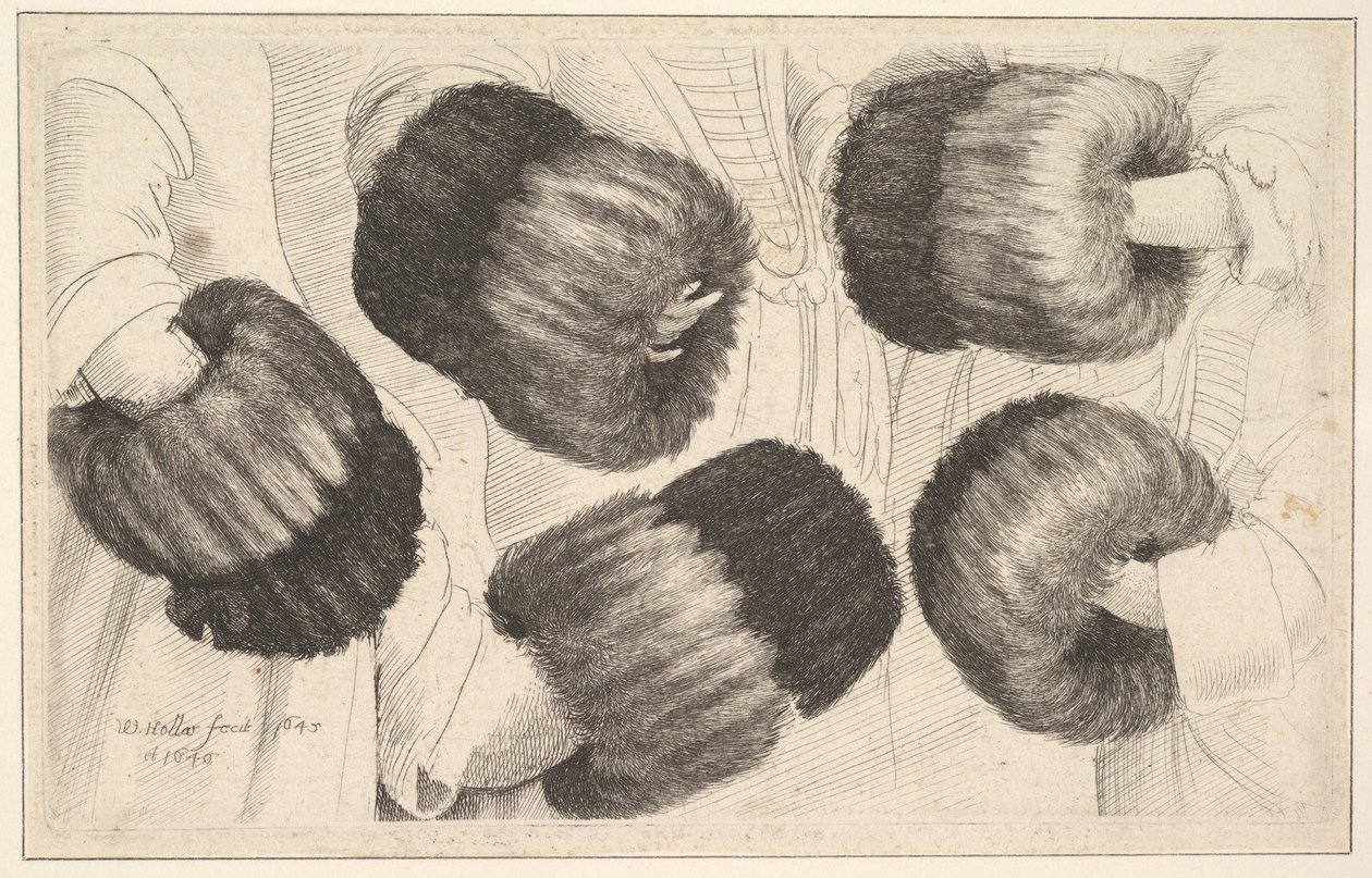 Muff in Five Views, 1645-46. tekijältä Wenceslaus Hollar