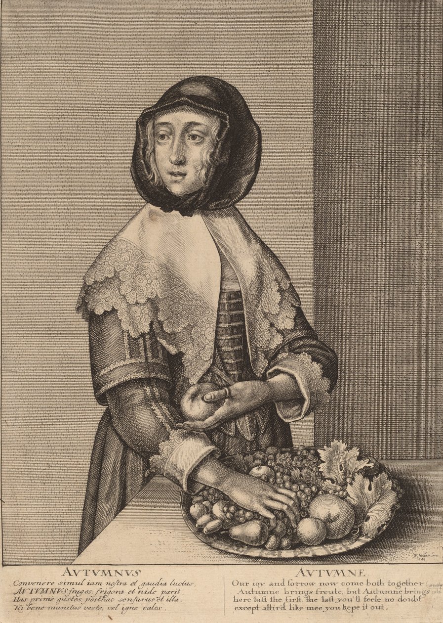 Syksy, 1641. tekijältä Wenceslaus Hollar