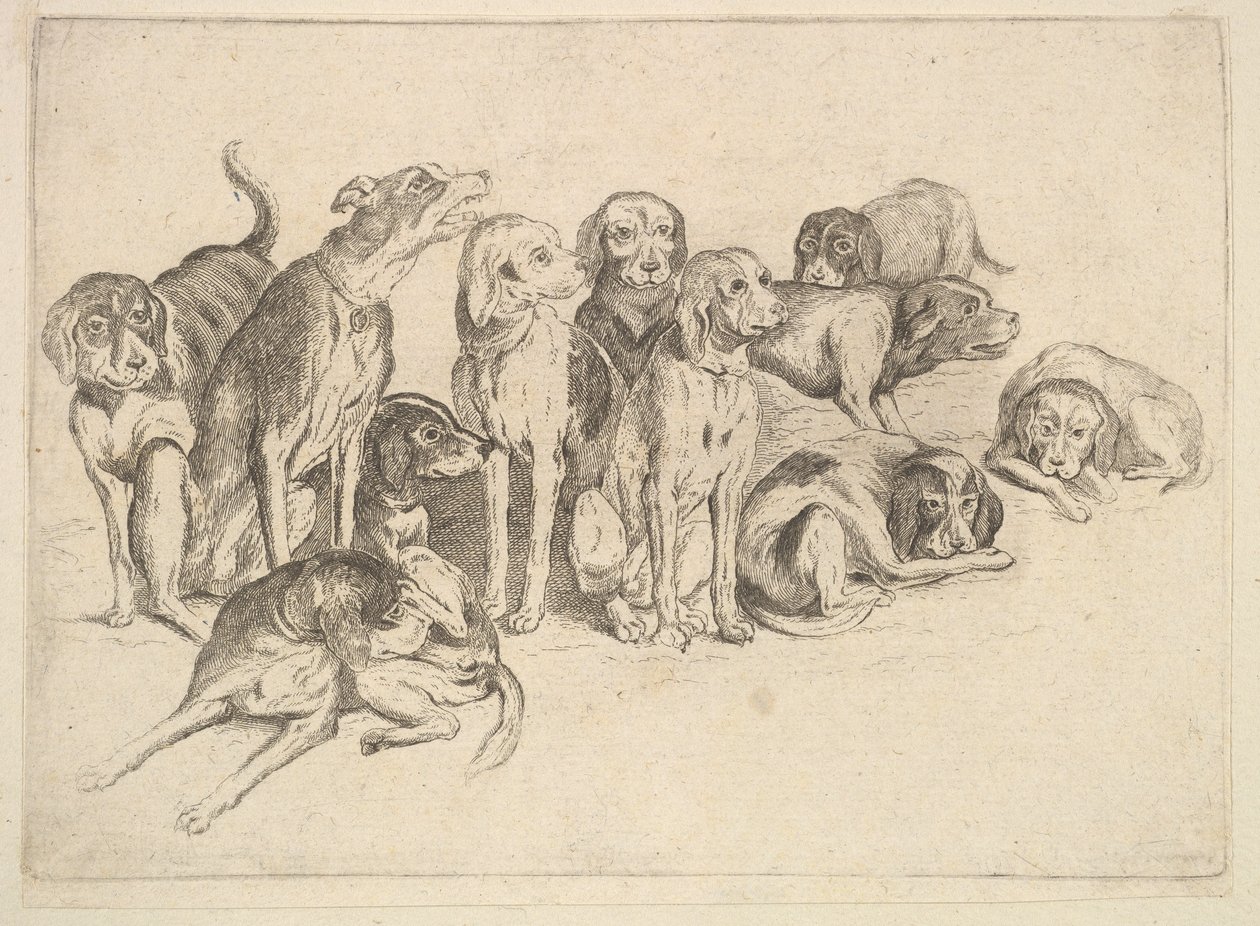 Yksitoista koiraa, 1625-77. tekijältä Wenceslaus Hollar