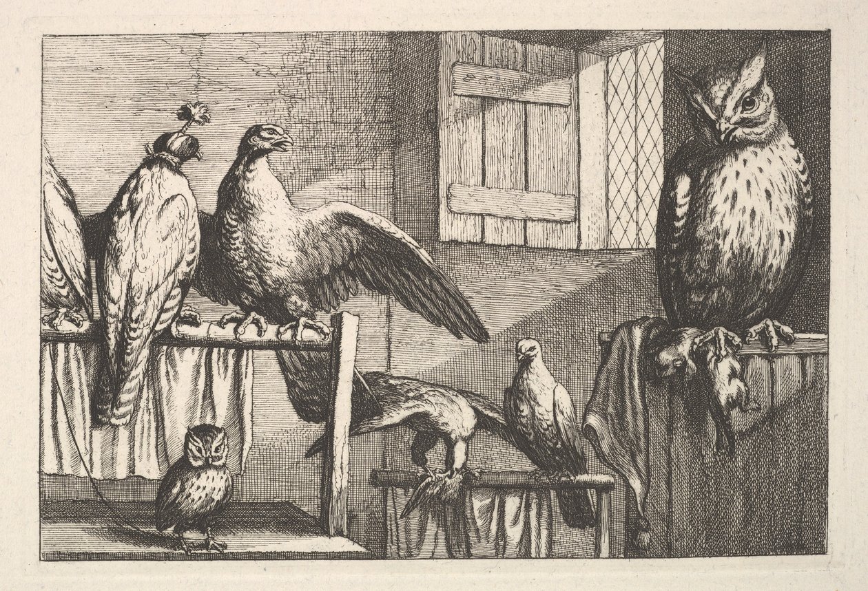 Haukat ja pöllöt, 1625-77. tekijältä Wenceslaus Hollar