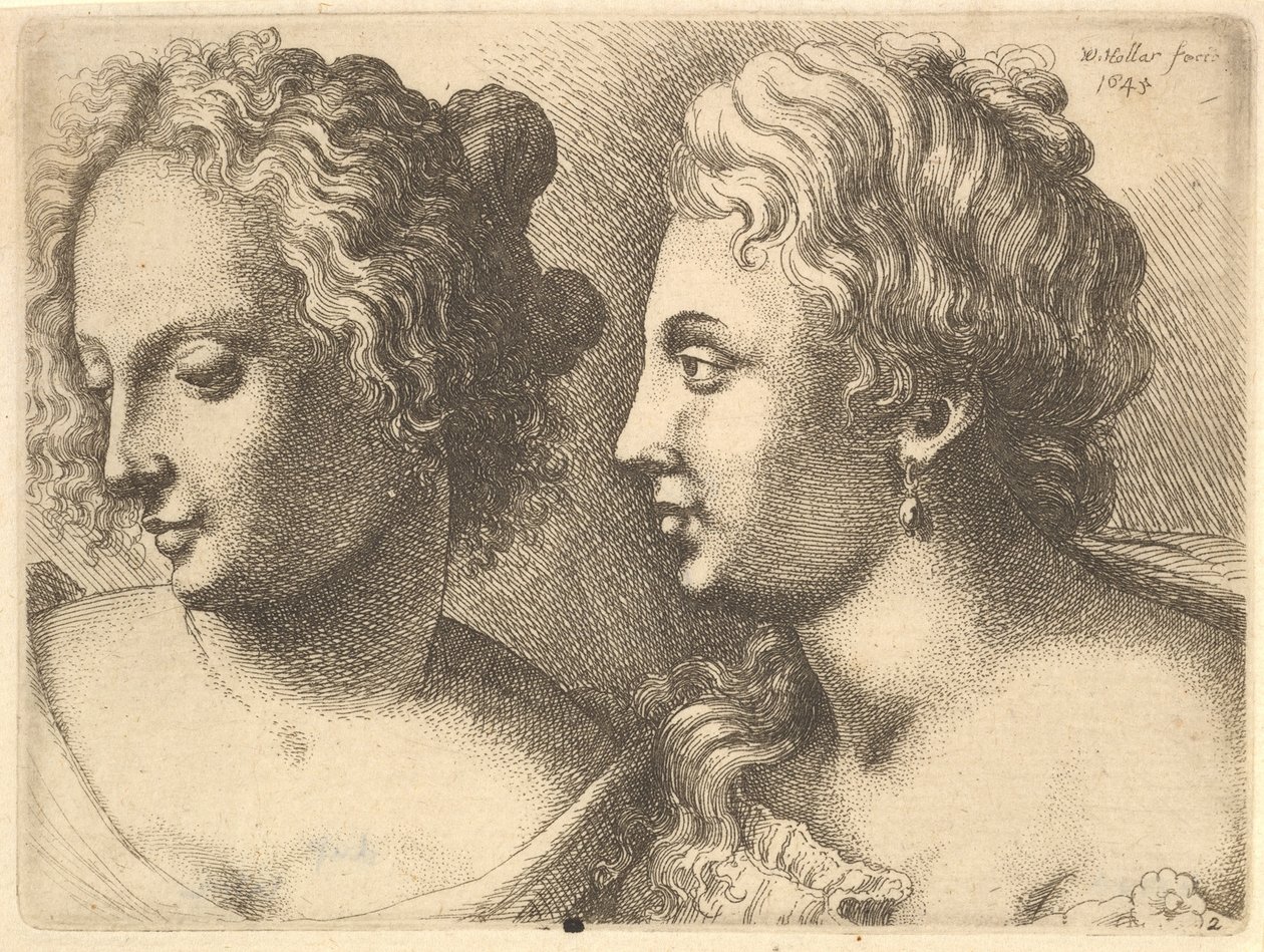 Kahden nuoren naisen päät, 1645. tekijältä Wenceslaus Hollar