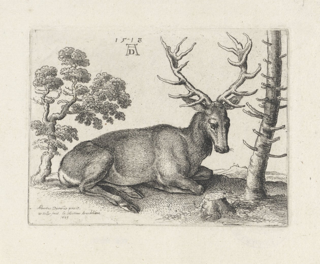 Makaava peura, oikealle tekijältä Wenceslaus Hollar
