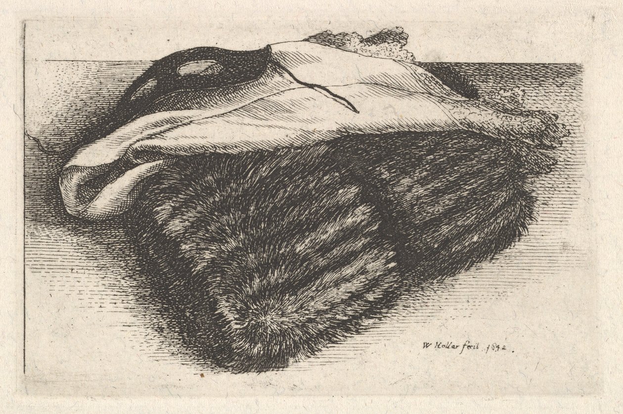 Muhvi, valkoinen huivi ja naamio, 1642. tekijältä Wenceslaus Hollar