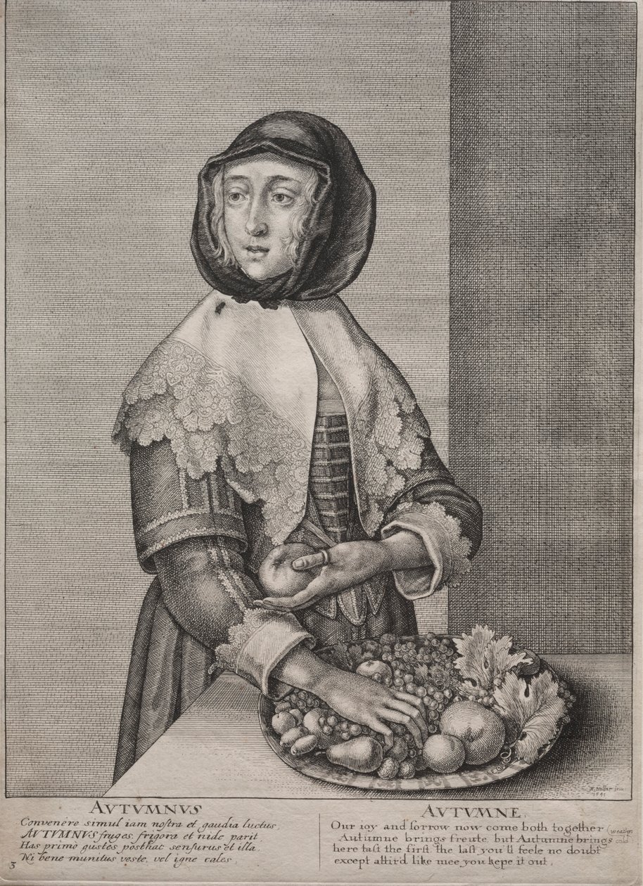 Neljä vuodenaikaa: Syksy, 1641. tekijältä Wenceslaus Hollar