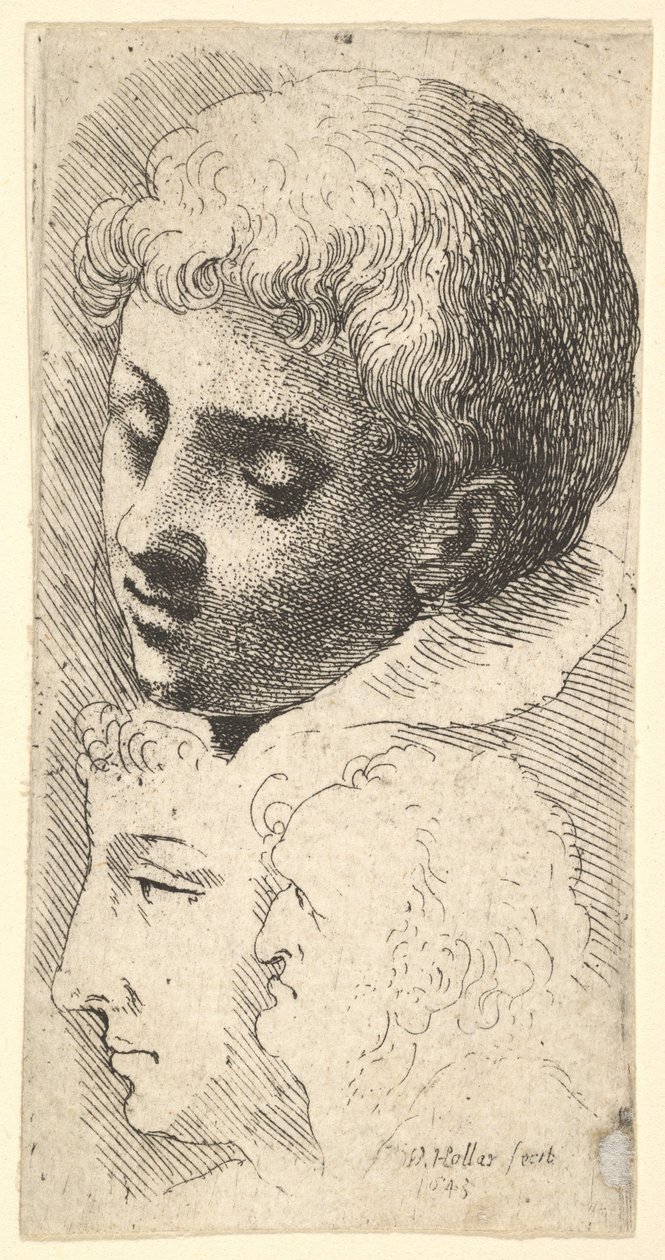 Kolme päätä, 1645. tekijältä Wenceslaus Hollar