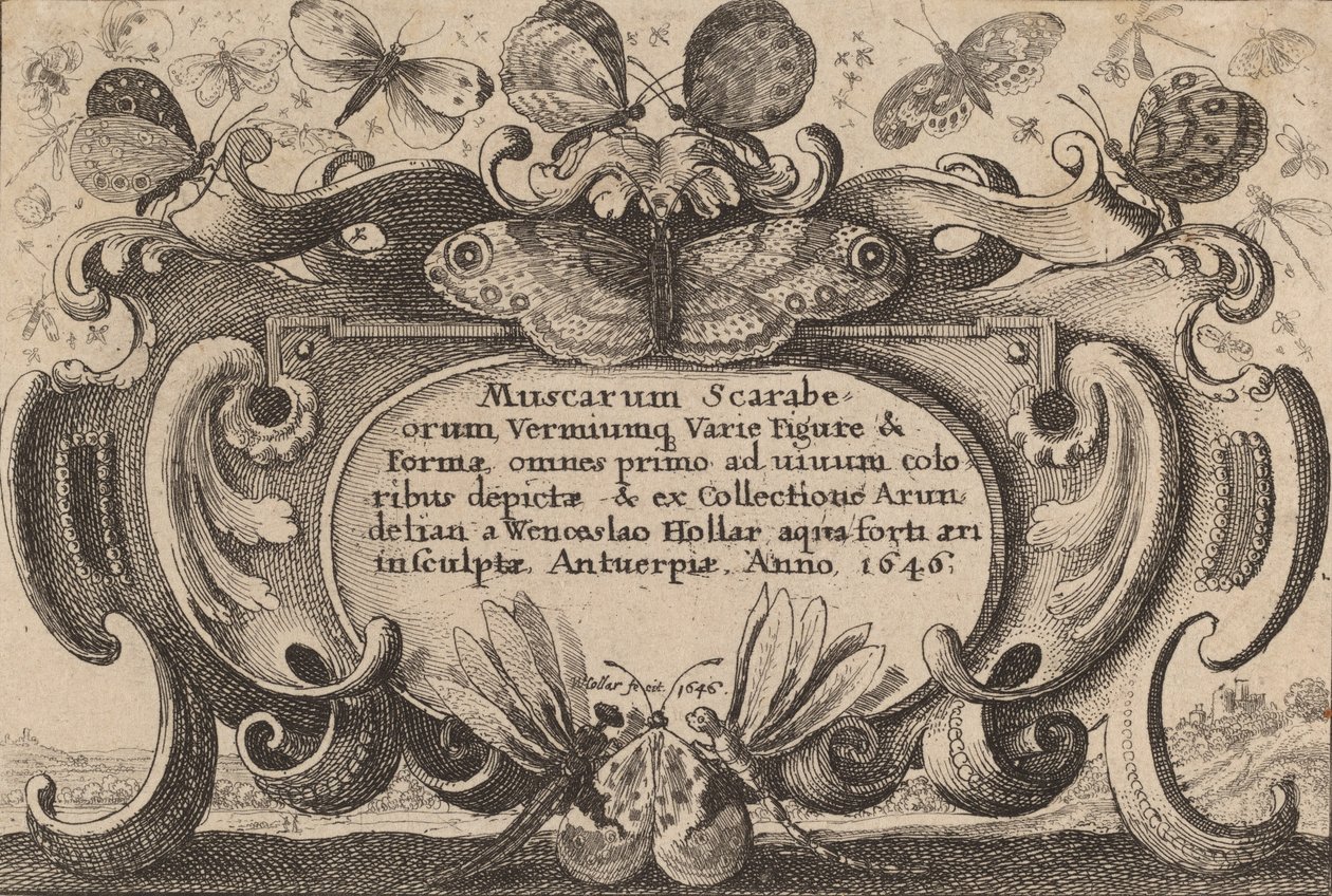 Nimilehti, 1646. tekijältä Wenceslaus Hollar