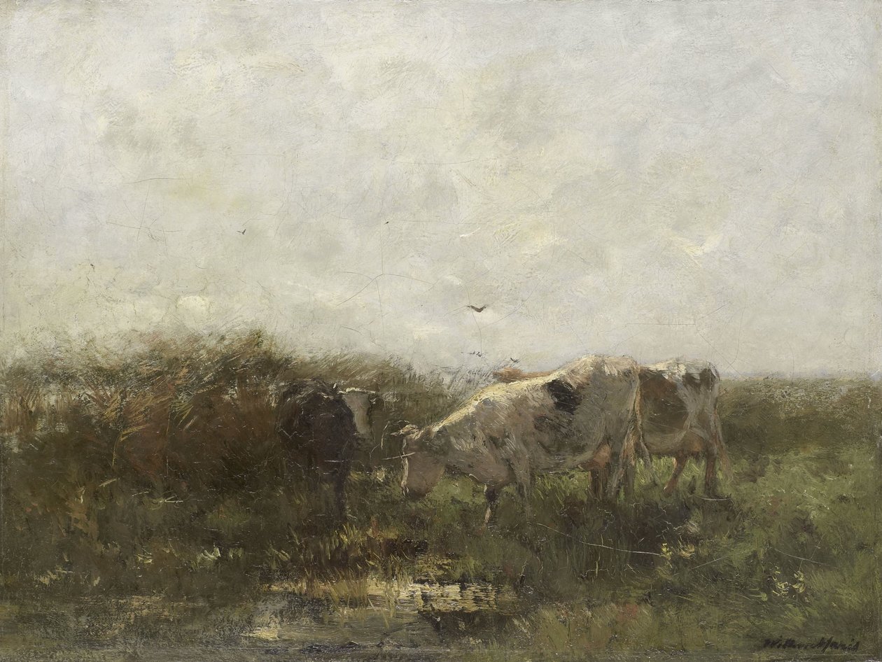 Lehmät tekijältä Willem Maris