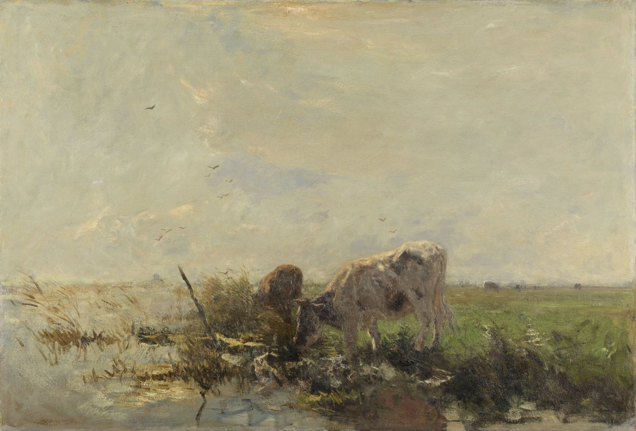 Lehmät lätäkössä tekijältä Willem Maris
