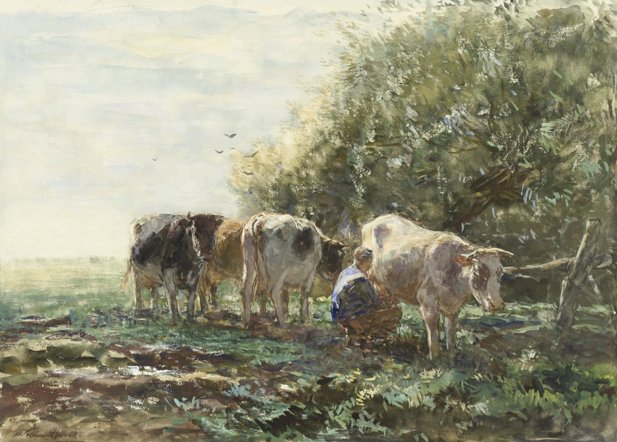 Lypsykynä tekijältä Willem Maris
