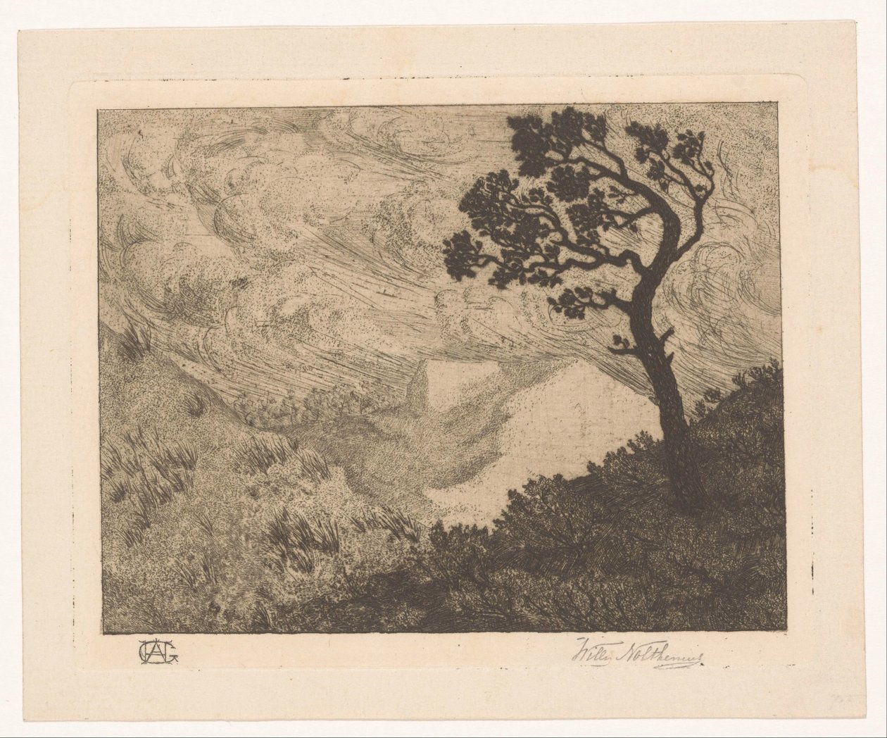 Puu mäkisessä maisemassa tekijältä Willem Nolthenius (signed by artist)