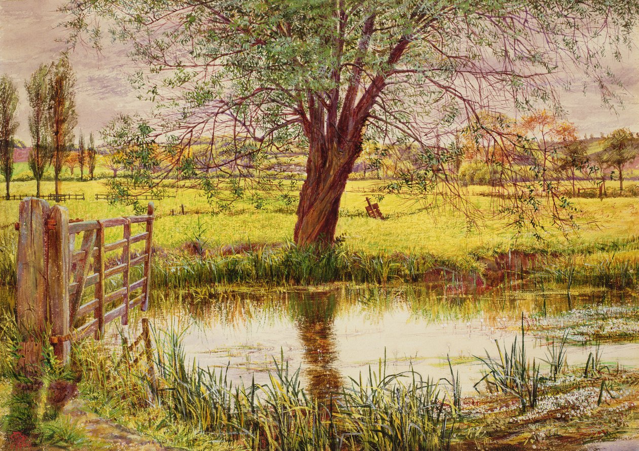 Water Meadow, 1865 tekijältä William Bell Scott