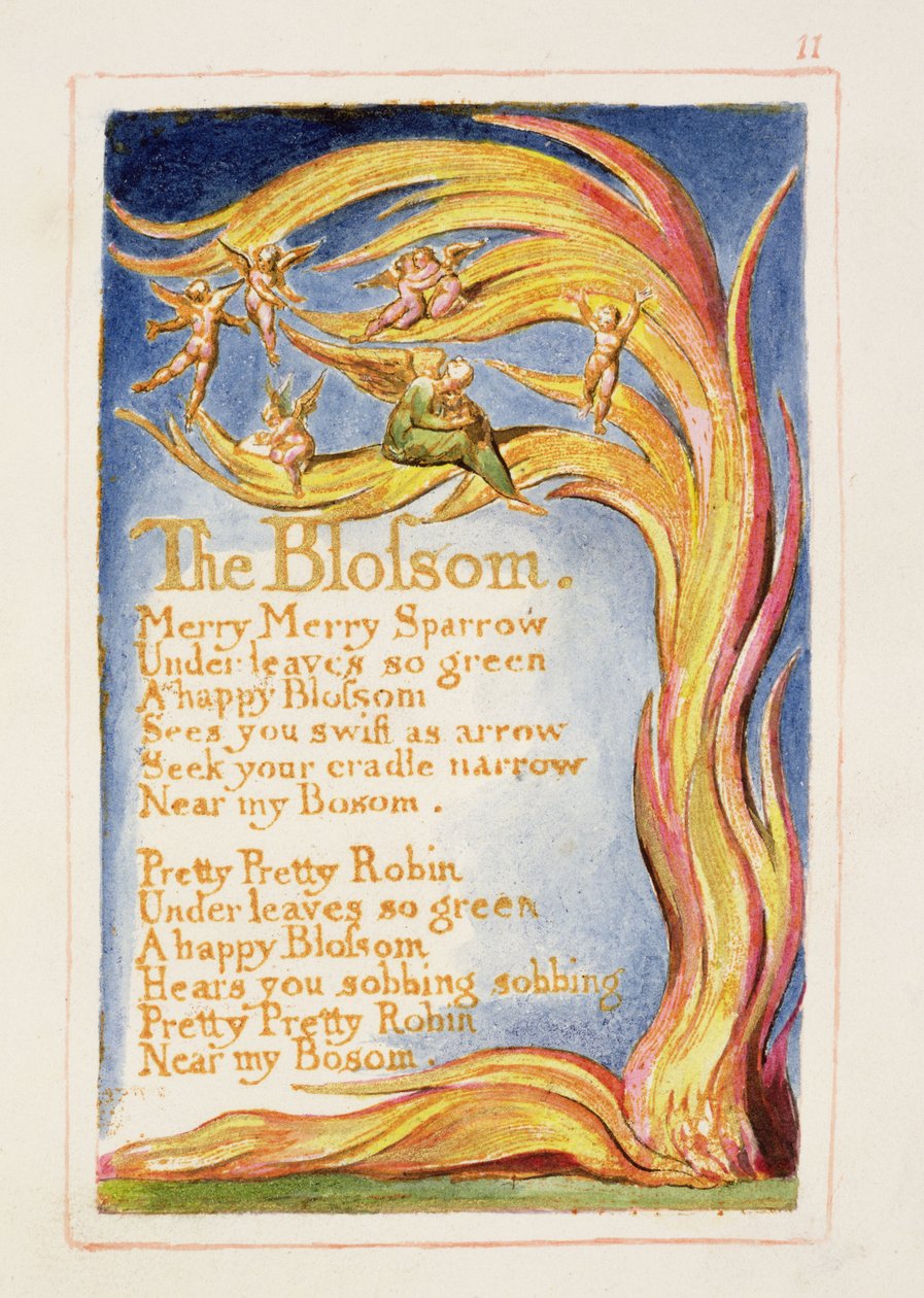 P.125-1950.pt11 The Blossom: levy 11 teoksesta Songs of Innocence and of Experience (kopio AA) n. 1815-26 (etsaus, muste ja wc) tekijältä William Blake