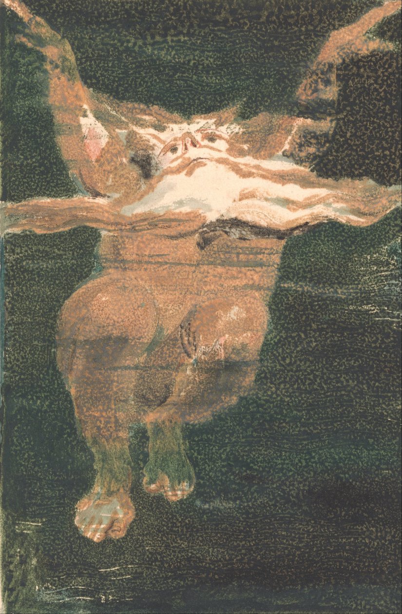 Urizenin ensimmäinen kirja, levy 5 (Bentley 12) tekijältä William Blake