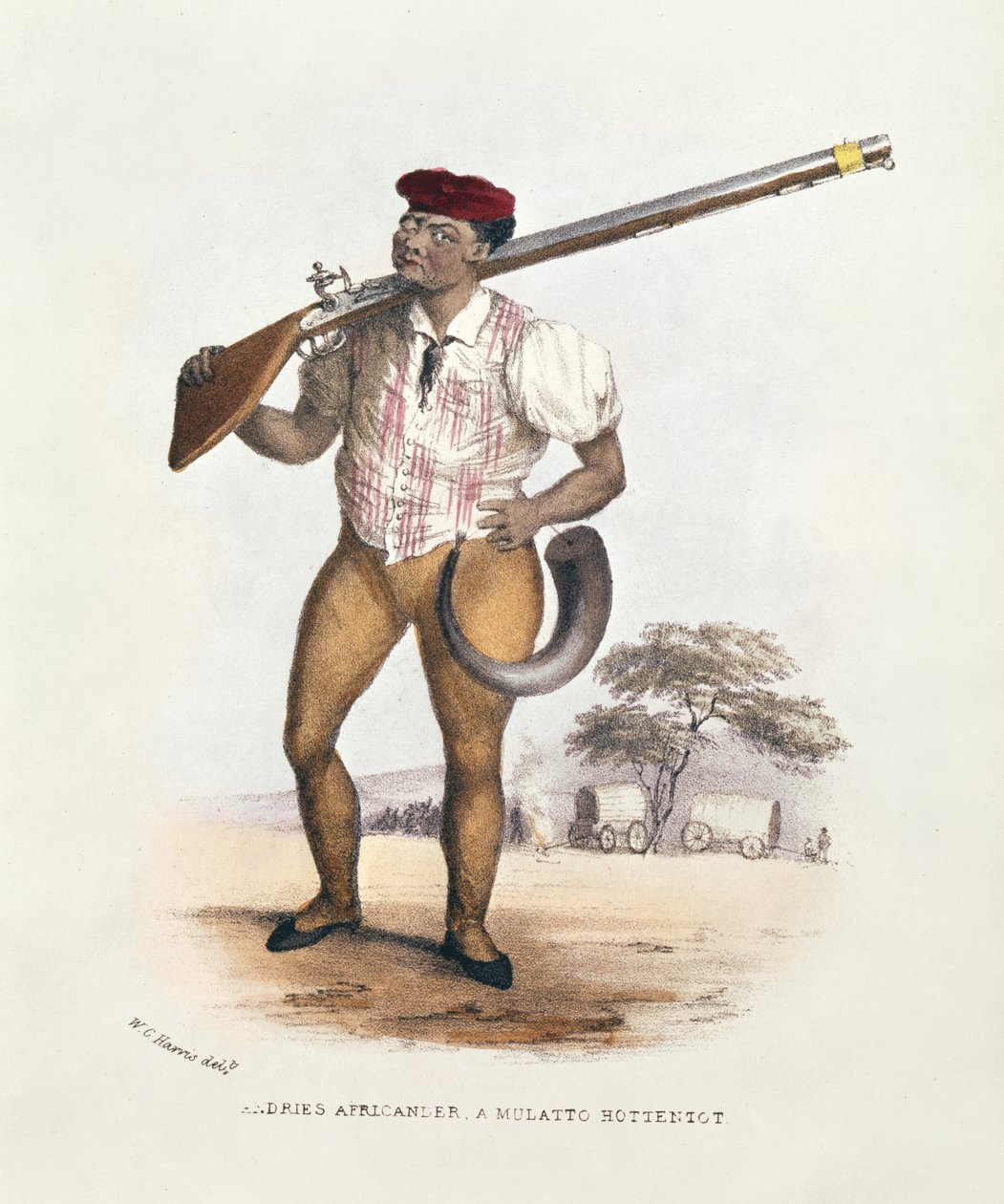 Andries Africander, mulattohottentott, kuvitus Wild Sports of South Africasta, W.C. Harris, 1841 tekijältä William Cornwallis Harris