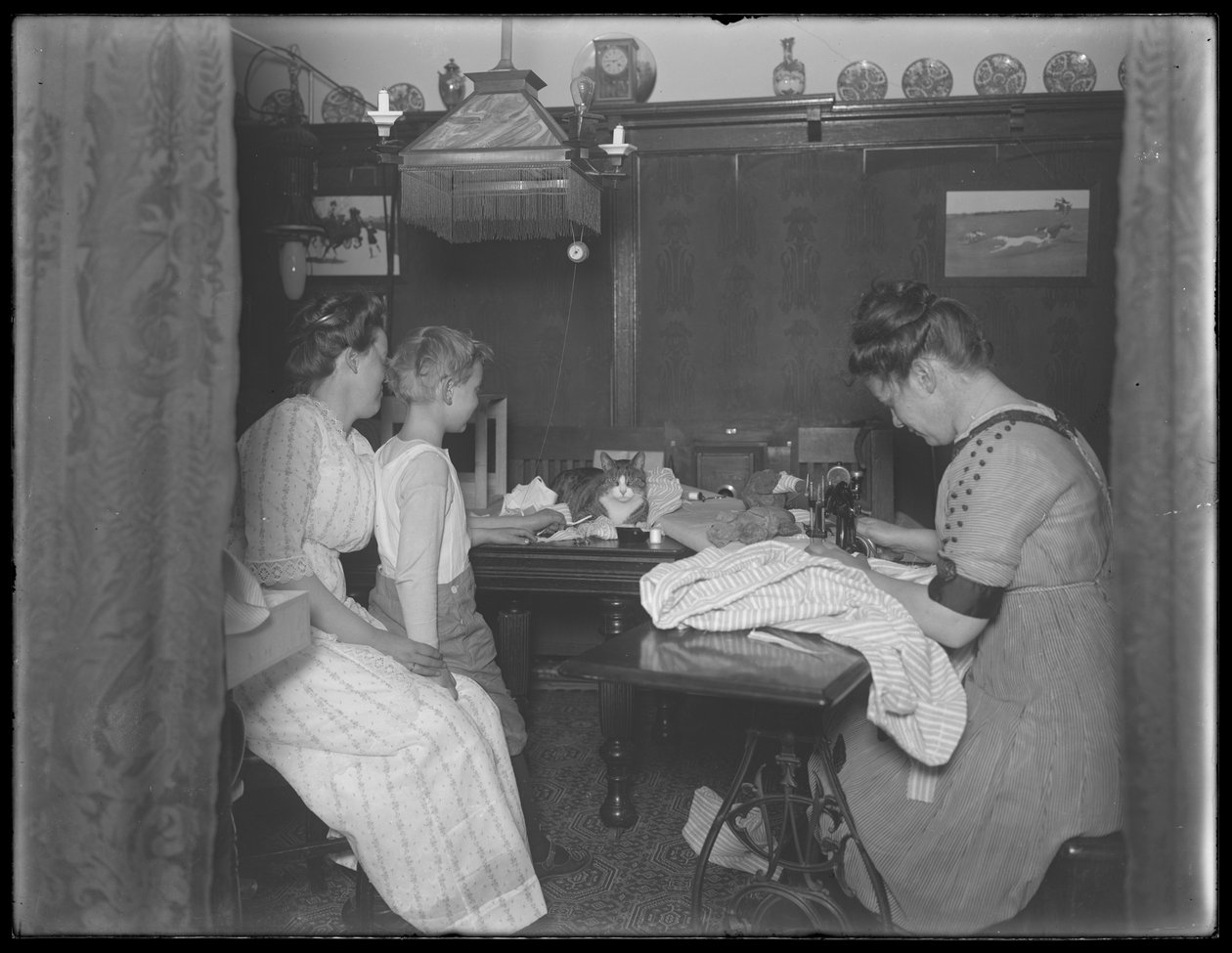 Ethel Gray Magaw Hassler, William Gray Hassler (pieni poika), Harriet E. Hassler (käyttöinen ompelukone) ja Reddy (kissa) ruokailutilassa osoitteessa 150 Vermilyea Avenue, huoneisto 44, New York City, n. 19 tekijältä William Davis Hassler