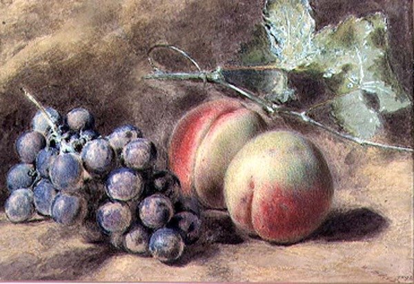 Rypäleet ja persikat, 1800-luku tekijältä William Henry Hunt