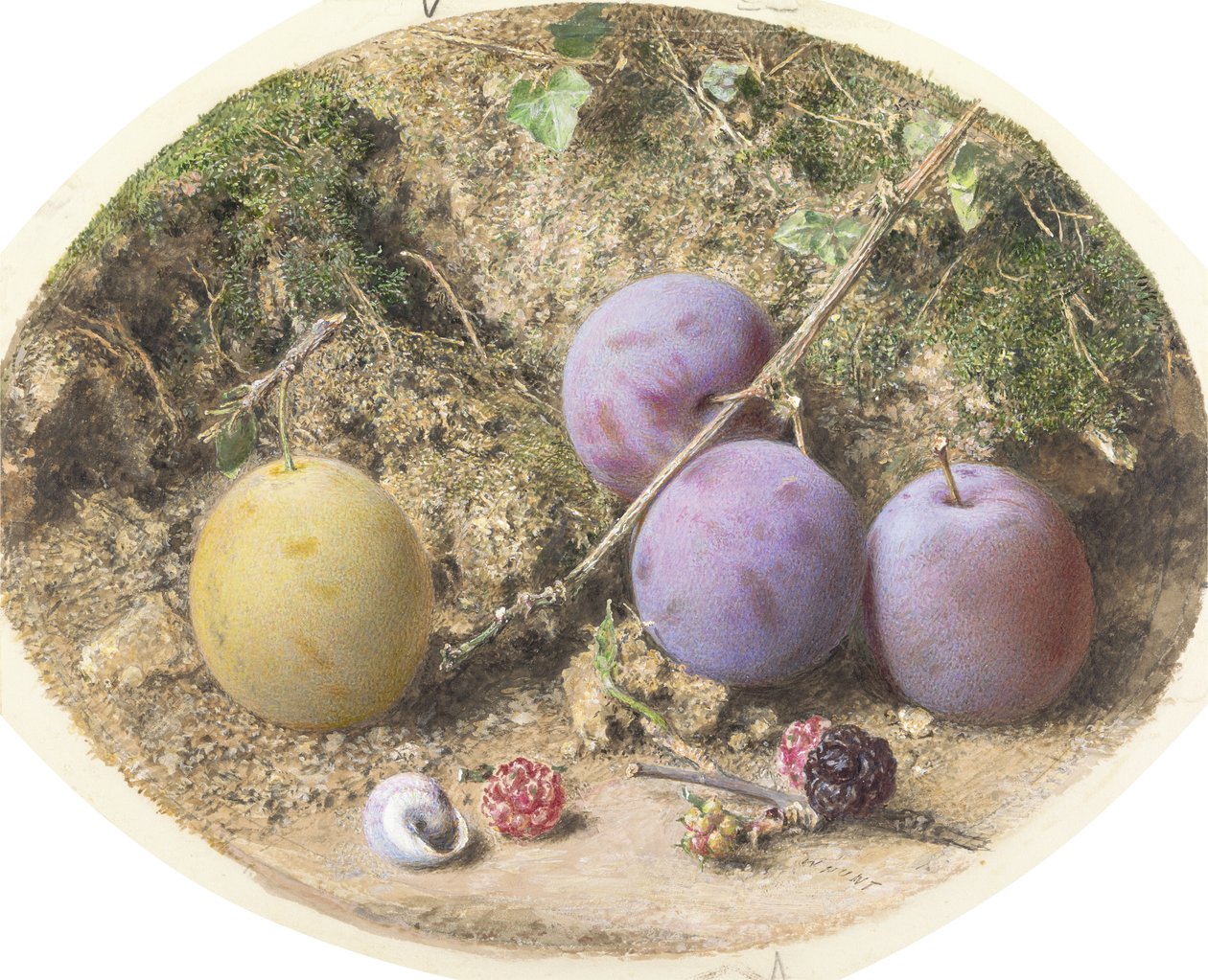 Luumut ja mulperimarjat, n. 1860 (wc grafiitin päällä kortilla) tekijältä William Henry Hunt