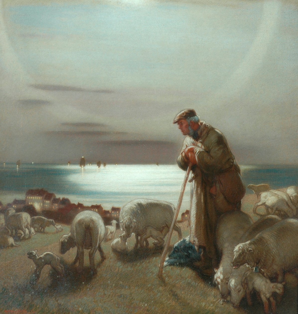 Paimen tekijältä William Shackleton
