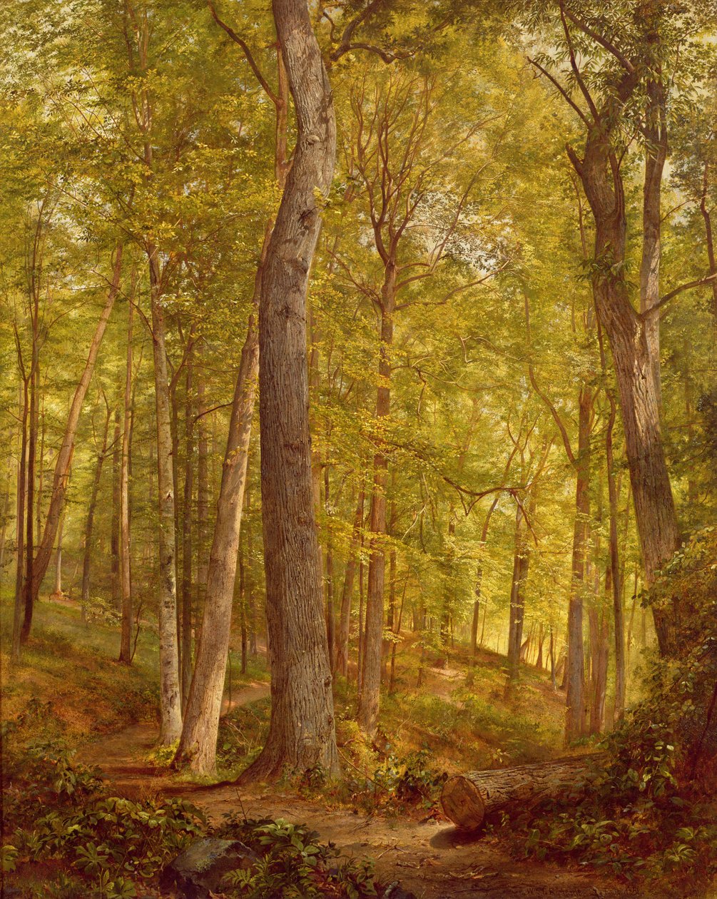 June Woods, Pennsylvania, 1864 tekijältä William Trost Richards