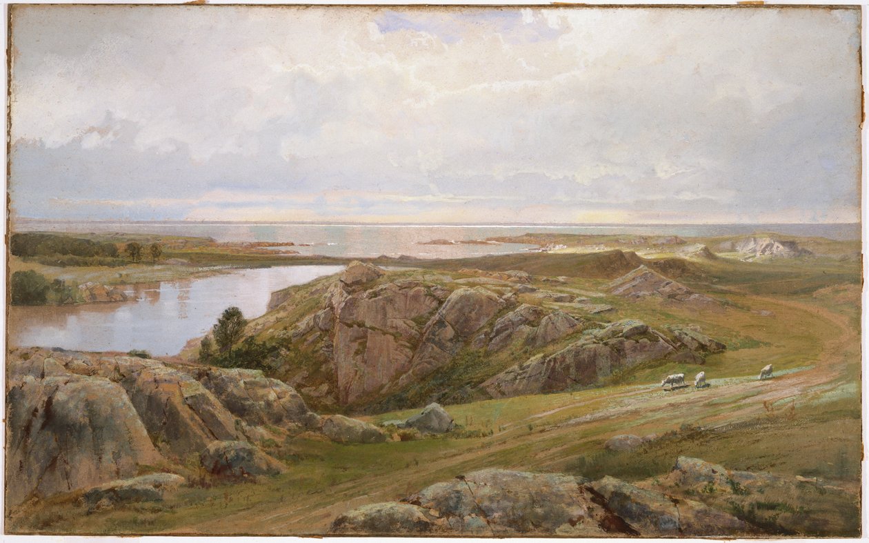 Lily Pond, Newport, 1877 (wc paperilla) tekijältä William Trost Richards