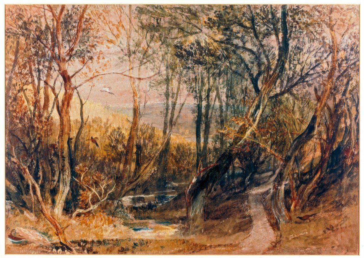 Metsäkohtaus tekijältä Joseph Mallord William Turner