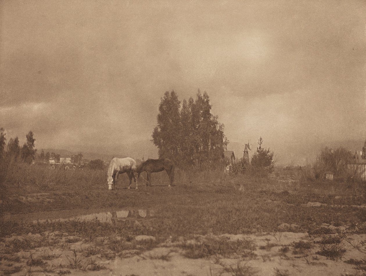 Pasadenan maisema, 1899. tekijältä William B Post