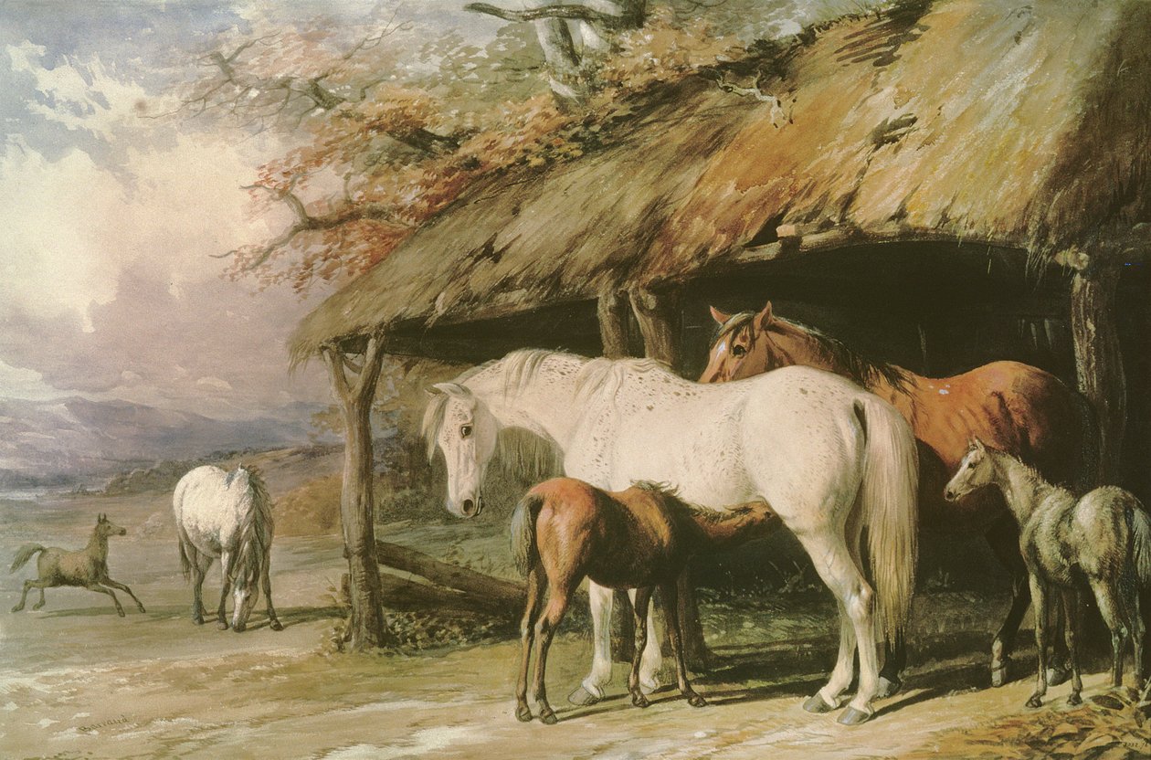 Tammat ja varsat, 1800-luku tekijältä William Barraud