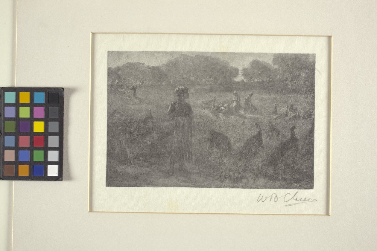 Turkin laidun (puukaiverrus) tekijältä William Baxter Palmer Closson