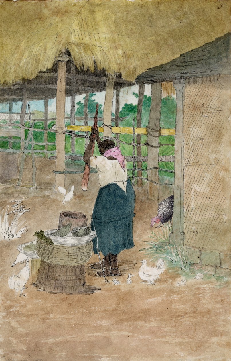 Nainen hakkaa maniokkia, Jamaika tekijältä William Berryman