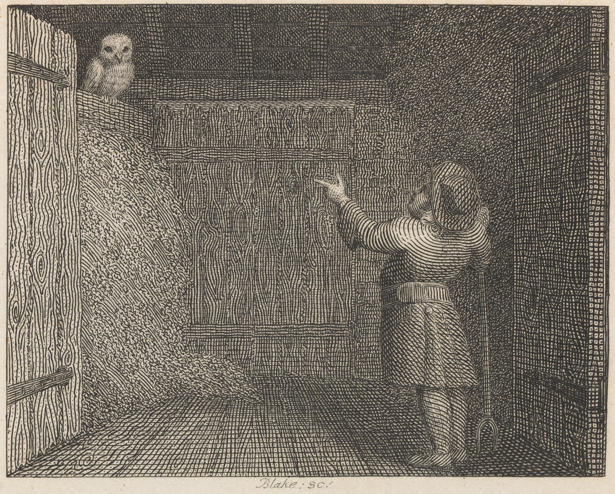 Pöllö ja maanviljelijä tekijältä William Blake