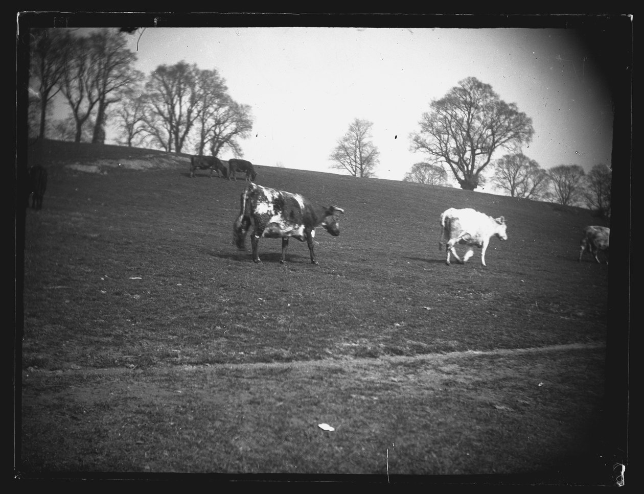 Quarry Field, Rumney, Cardiff, 1892. tekijältä William Booth