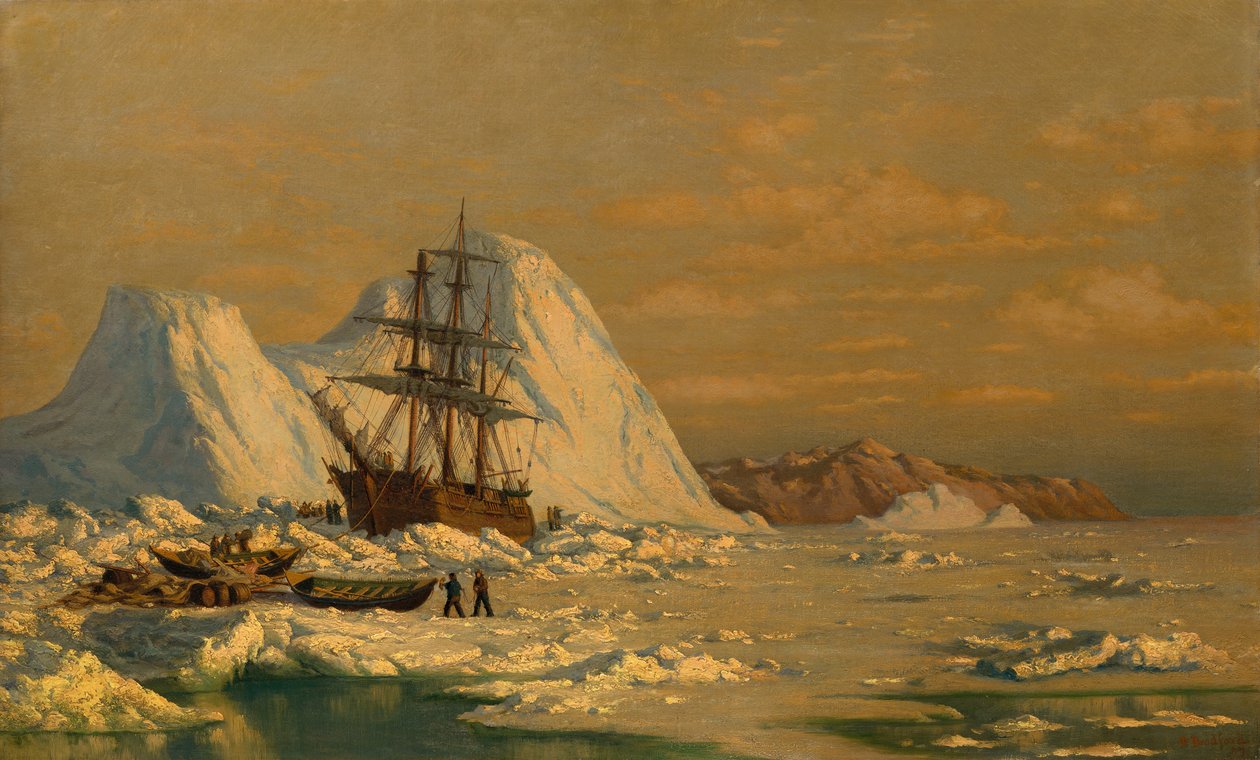 Valaanpyyntitapahtuma. tekijältä William Bradford