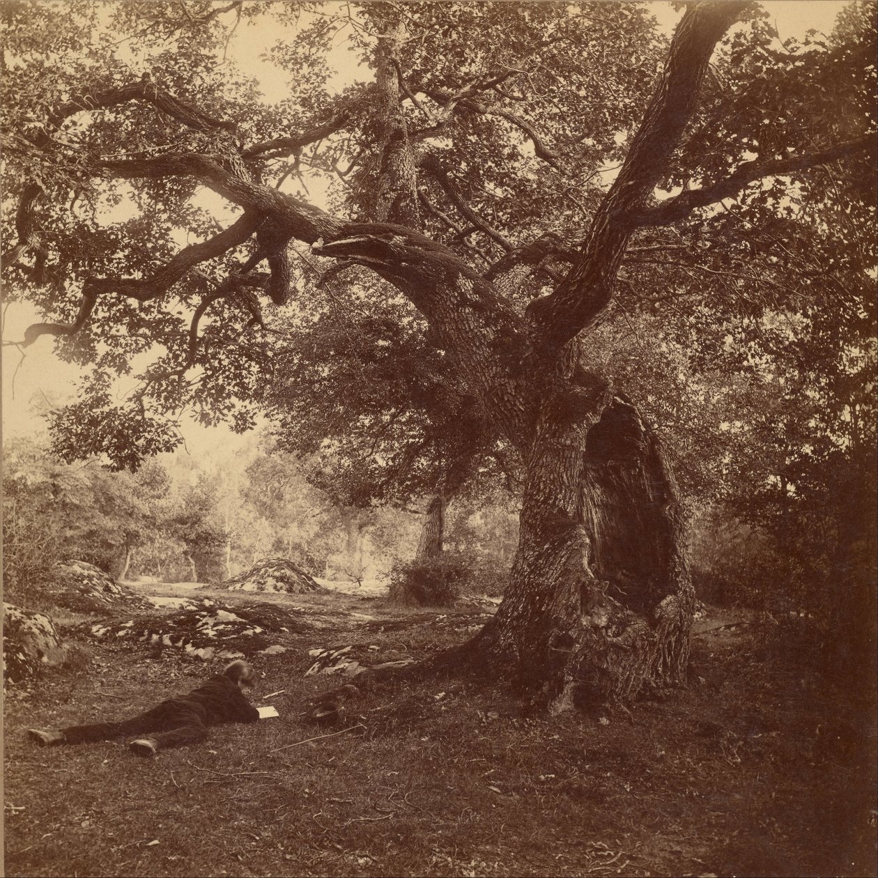 Forêt de Fontainebleau tekijältä William Drooke Harrison