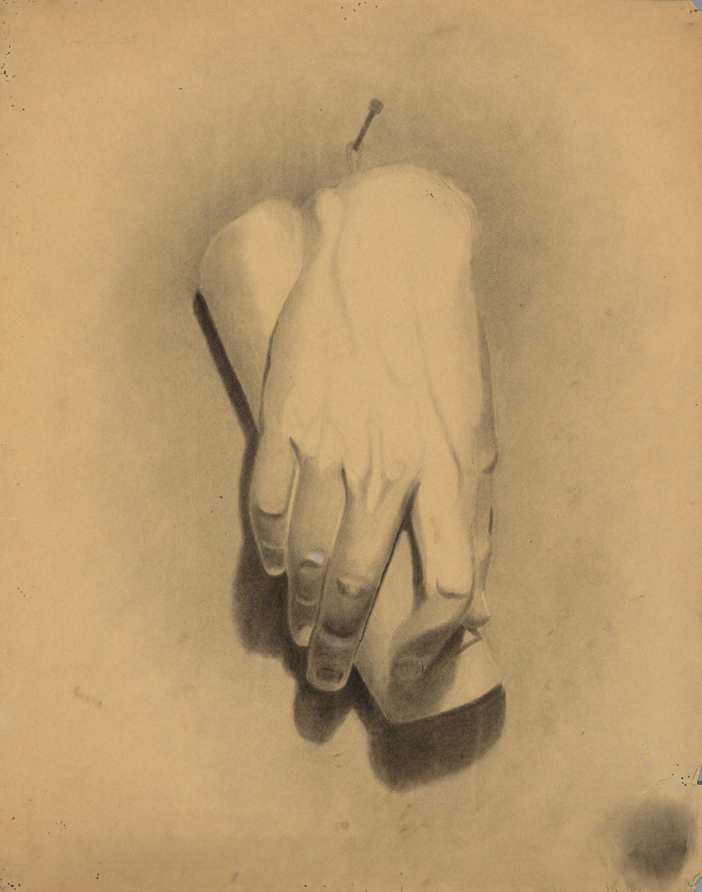 Akateeminen tutkimus tekijältä William Fowler Hopson