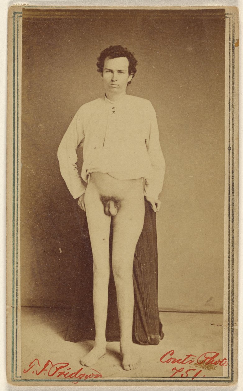 T.F. Pridgeon [sisällissodan uhri] tekijältä William H. Bell