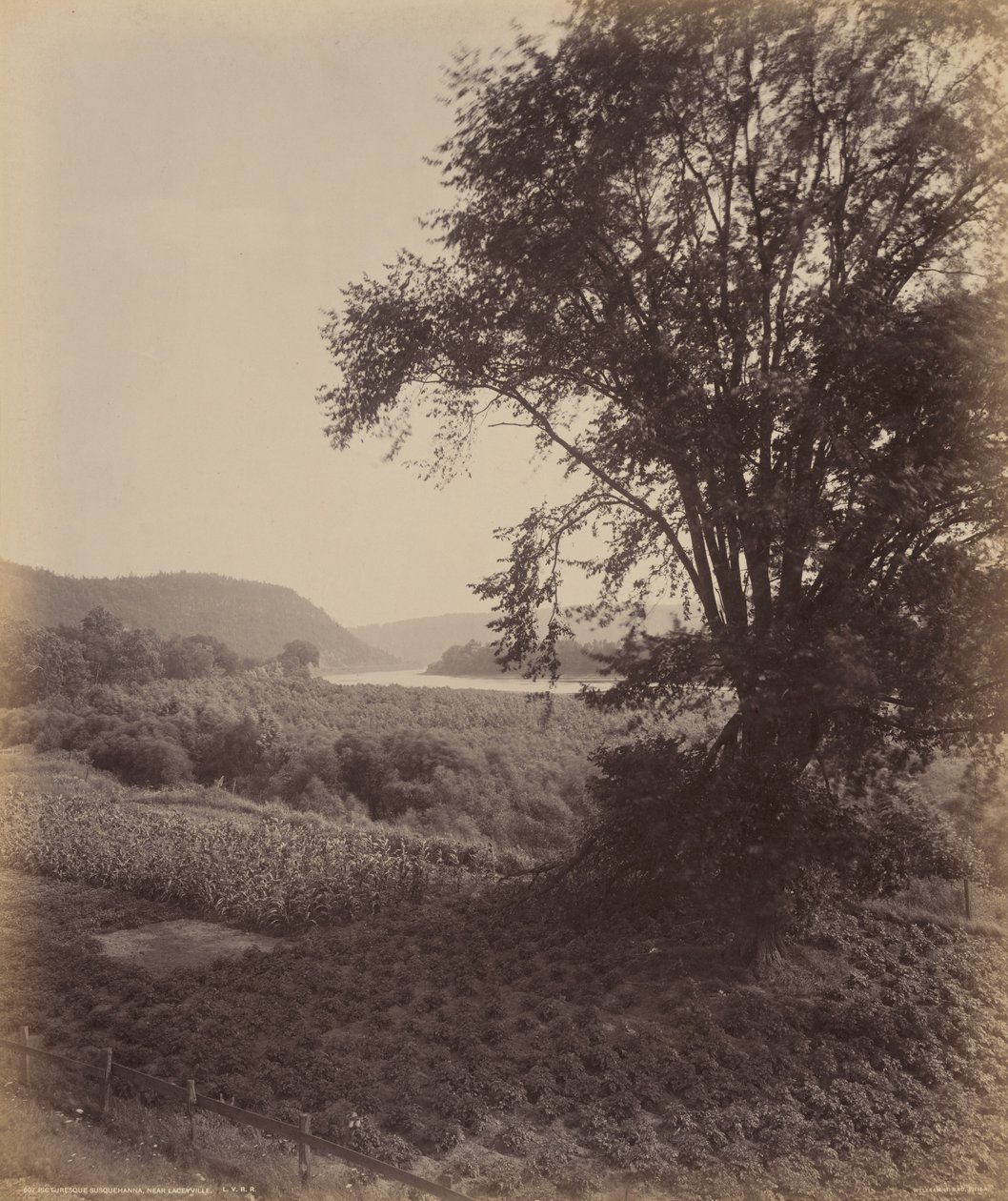 Kuvankaunis Susquehanna, lähellä Laceyvilleä tekijältä William H. Rau