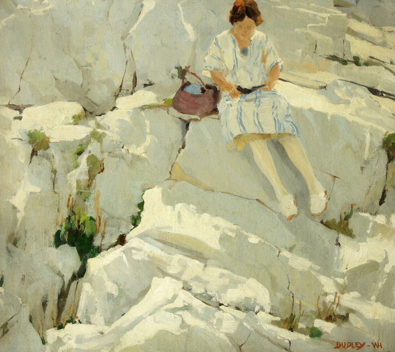 Butterfly on the Rocks tekijältä William Harold Dudley
